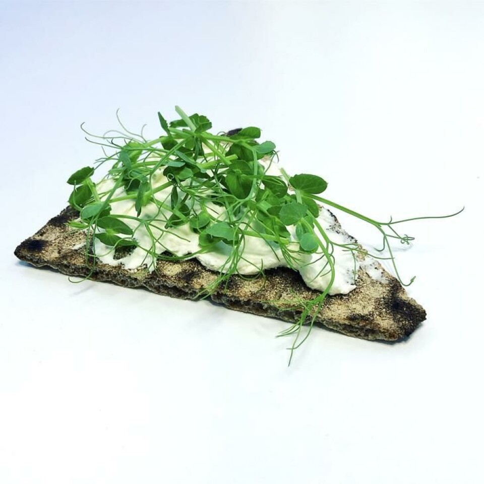 Sunne ertespirer klippet raust oppå et knekkebrød med smøreost. Sunne ertespirer klippet raust oppå et knekkebrød med smøreost.