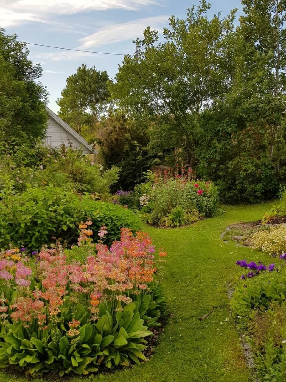 Varmekjære planter utvikler seg bedre i en sørvendt skråning enn i en nordhelling Varmekjære planter utvikler seg bedre i en sørvendt skråning enn i en nordhelling