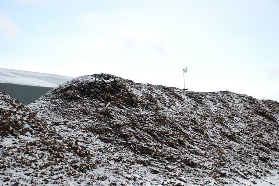 En komposthaug på Grønmo dekket av snø, med termometer på toppen. Inni kan det bli 80 grader. Foto Marianne Utengen En komposthaug på Grønmo dekket av snø, med termometer på toppen.