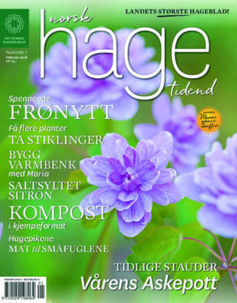 Forside av Hagetidend nr. 1/2018 Forside av Hagetidend nr. 1/2018