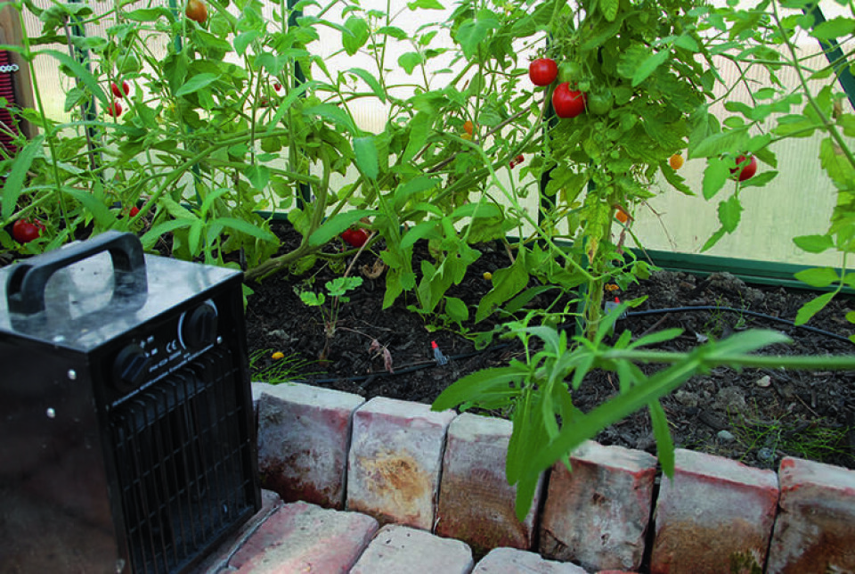 Frostvakt er en liten ovn som slår seg på når temperaturen i drivhuset blir for lav. Alle foto: Maranne Utengen Drivhus med frostvakt