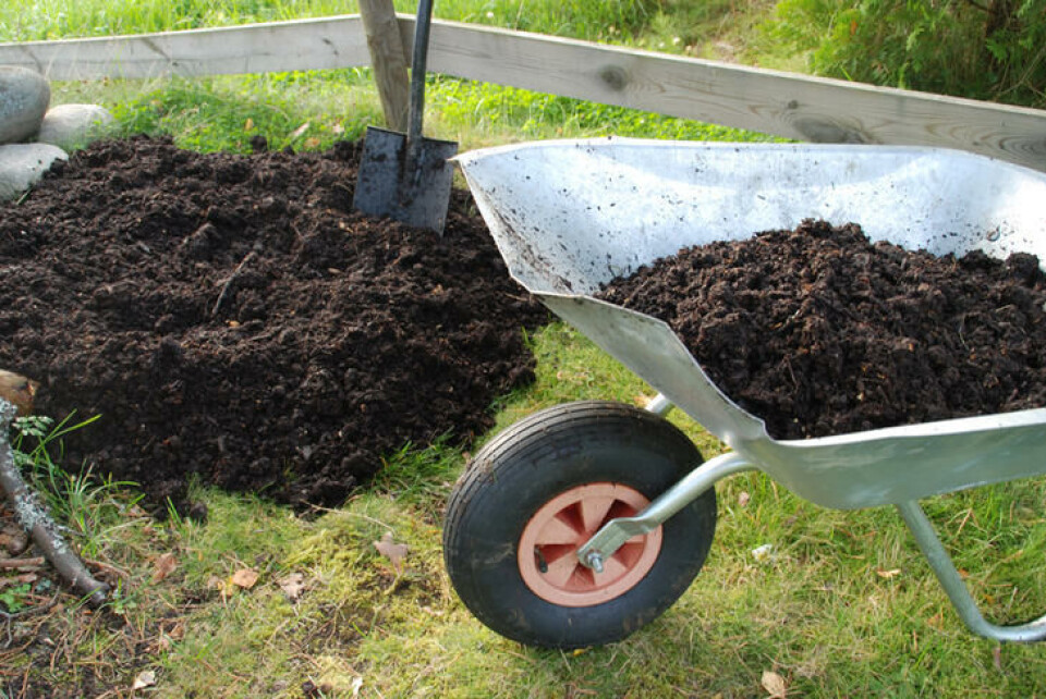 Kompost er hagens gull og grunnlaget for god jord og plantetrivsel. En komposthaug og kompost i en trillebår.