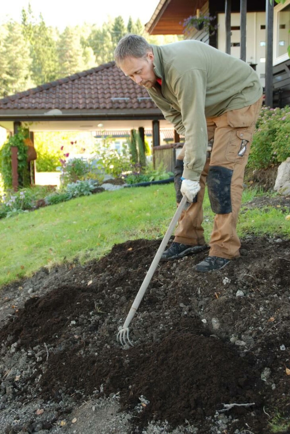 Å tilføre hagejord kompost gjør den mer dyrkbar, mer fuktbar, mikrolivet trives og næring vil frigjøres til plantene. Foto: Marianne E. Utengen Mann krafser kompost ned i hagejord.