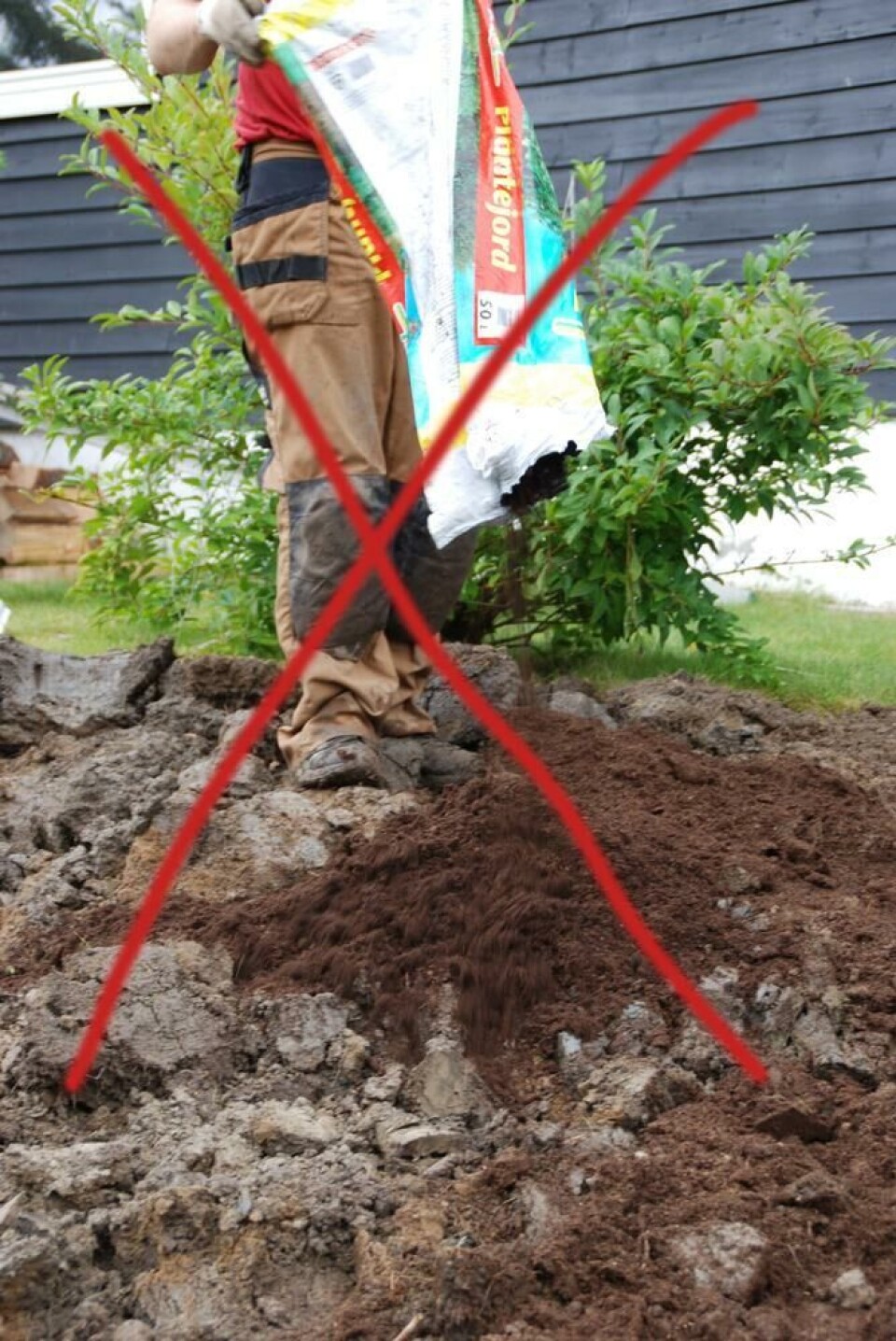 Torvbaserte produkter fra sekk er unødvendig å blande i hagejord. Kompost eller kompostjord er et bedre alternativ. Foto: Marianne E. Utengen Jord fra sekk tømmes i et blomsterbed