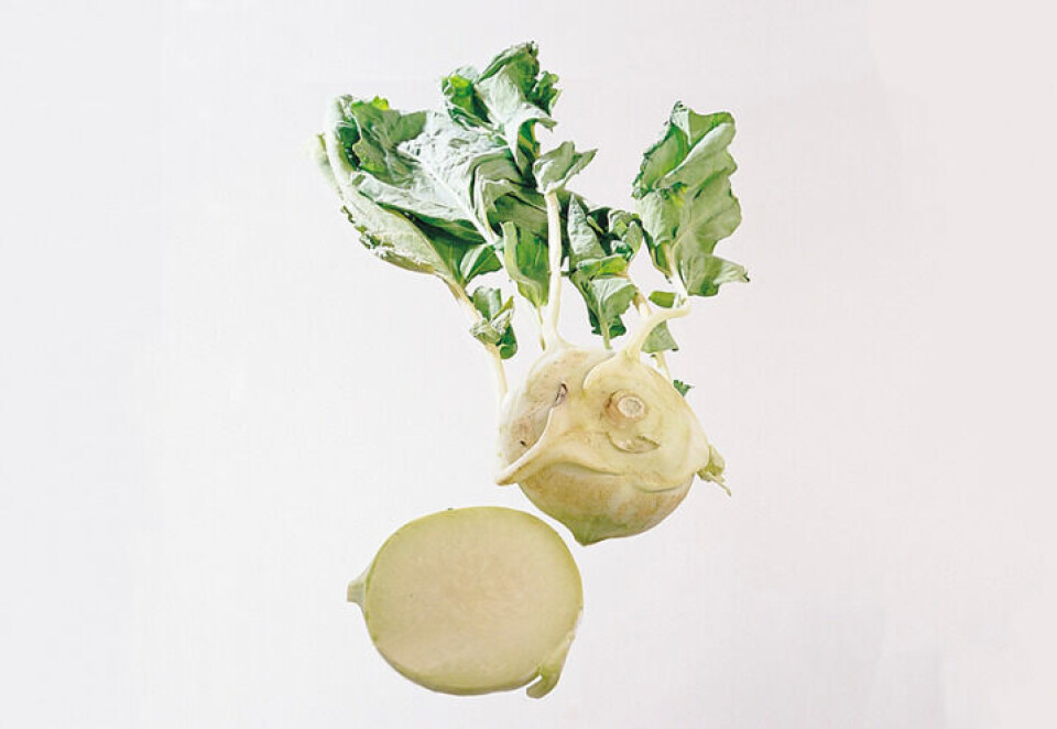 Foto: frukt.no Knutekål