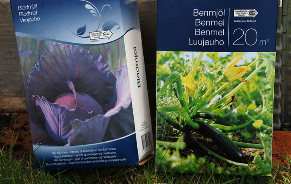 Blodmel og beinmel er eksempel på to organiske gjødselprodukter. Blodmel og beinmel i hver sin eske, kjøpt i hagesenter.