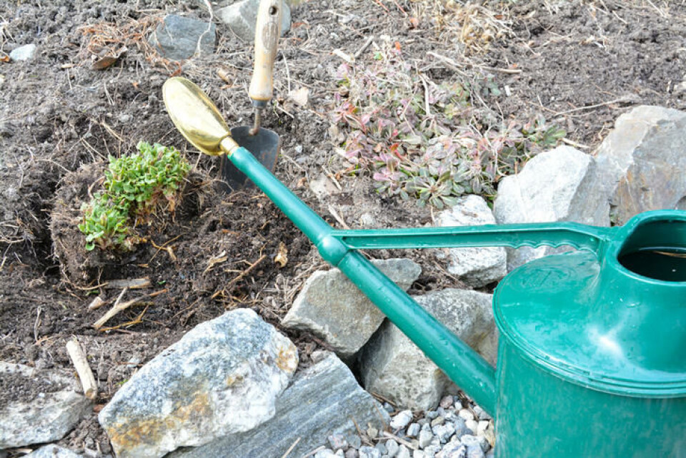 Plant og vann. Plant og vann.