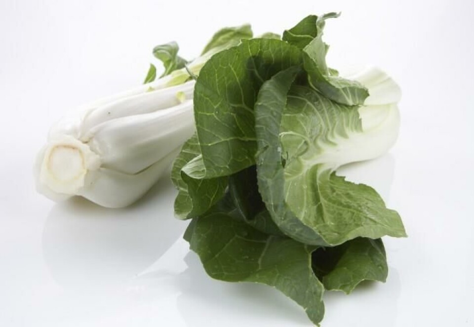 Pak choi Pak choi