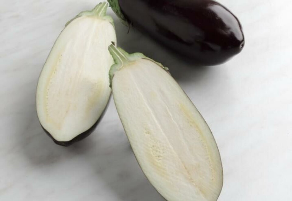 Aubergine Aubergine