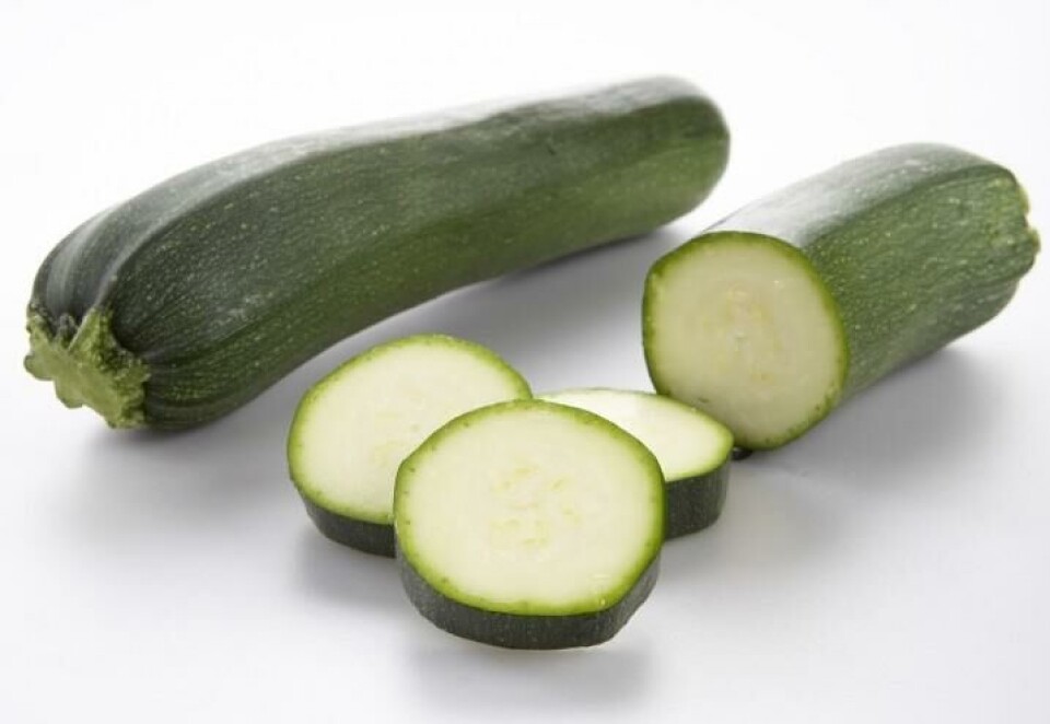 squash squash