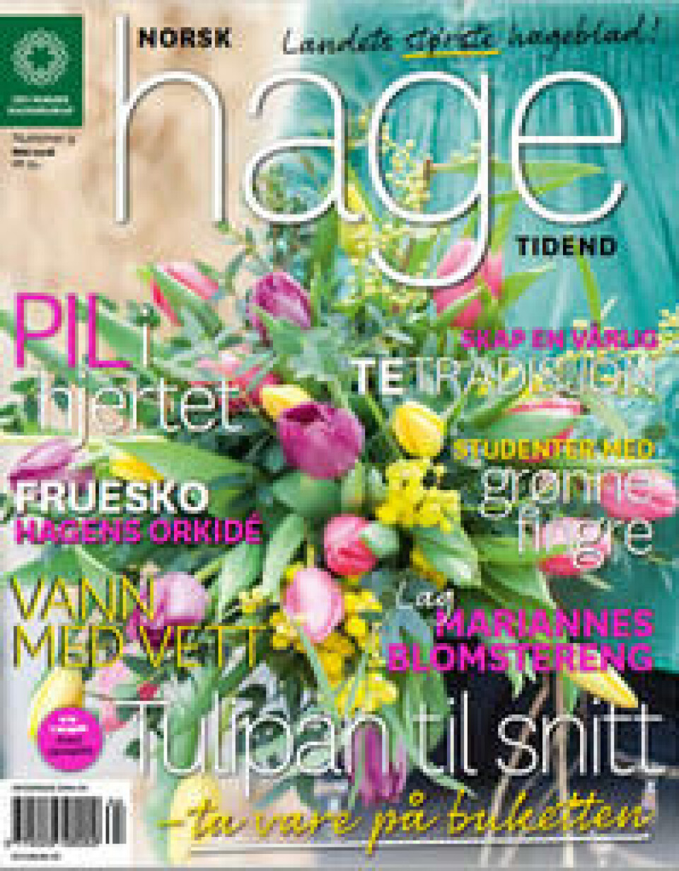 Artikkelen er hentet fra Norsk Hagetidend nummer 4/2016 hagetidend