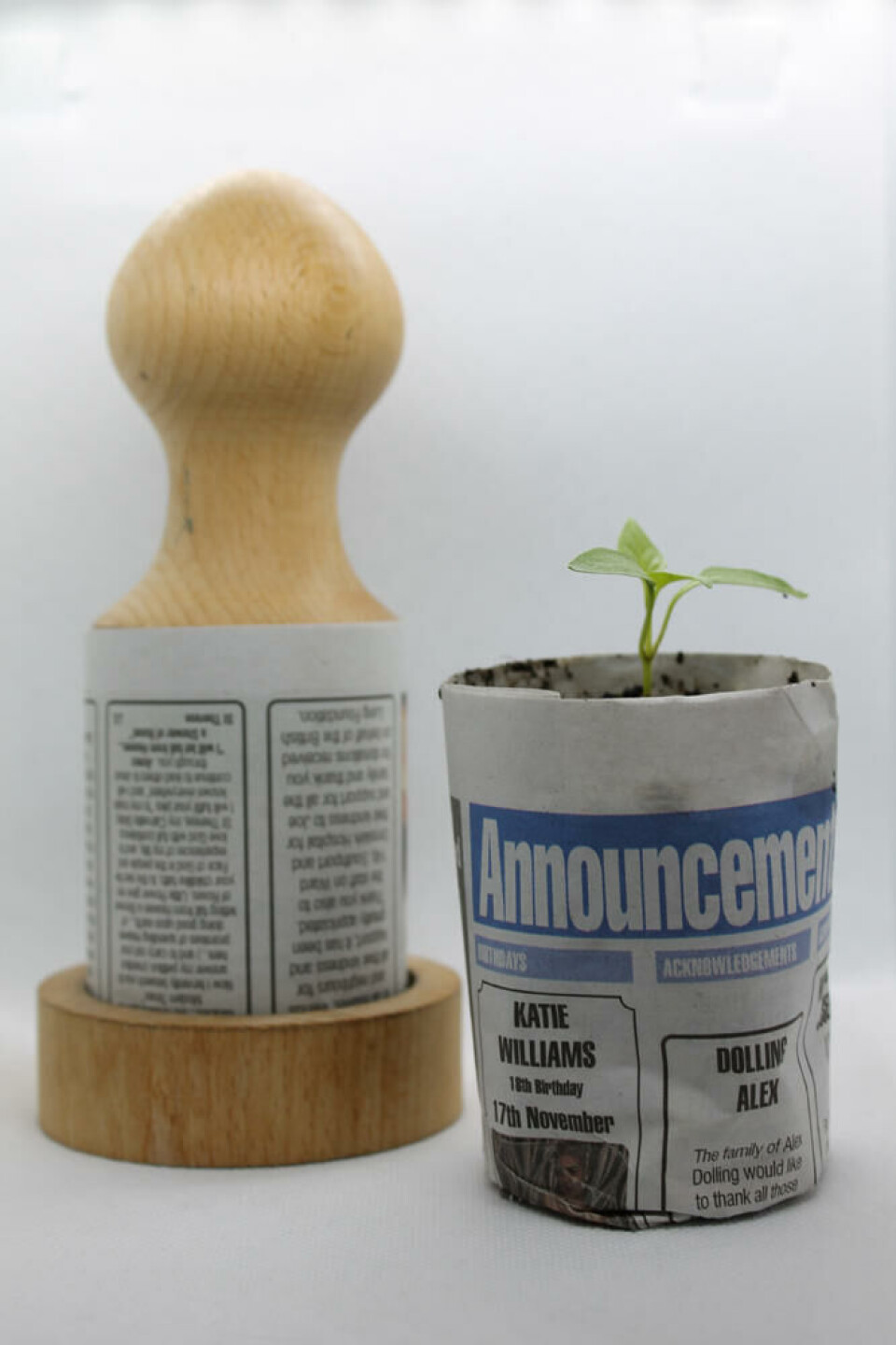 En enkel frøplante sådd i en potte laget av avispapir. Fotograf: Schutterstock. En selvlaget frøpotte laget med paper potter og avispapir.