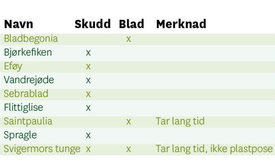 Formering av potteplanter En tabell som viser hvilken formeringsmetode som passer til hvilken stueplante.