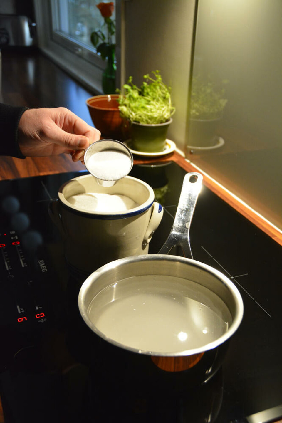 3 dl sukker til 2 liter kokende vann gjør susen. Fotograf: Marianne Utengen. En hånd heller sukker i en kjele fra et desilitermål.