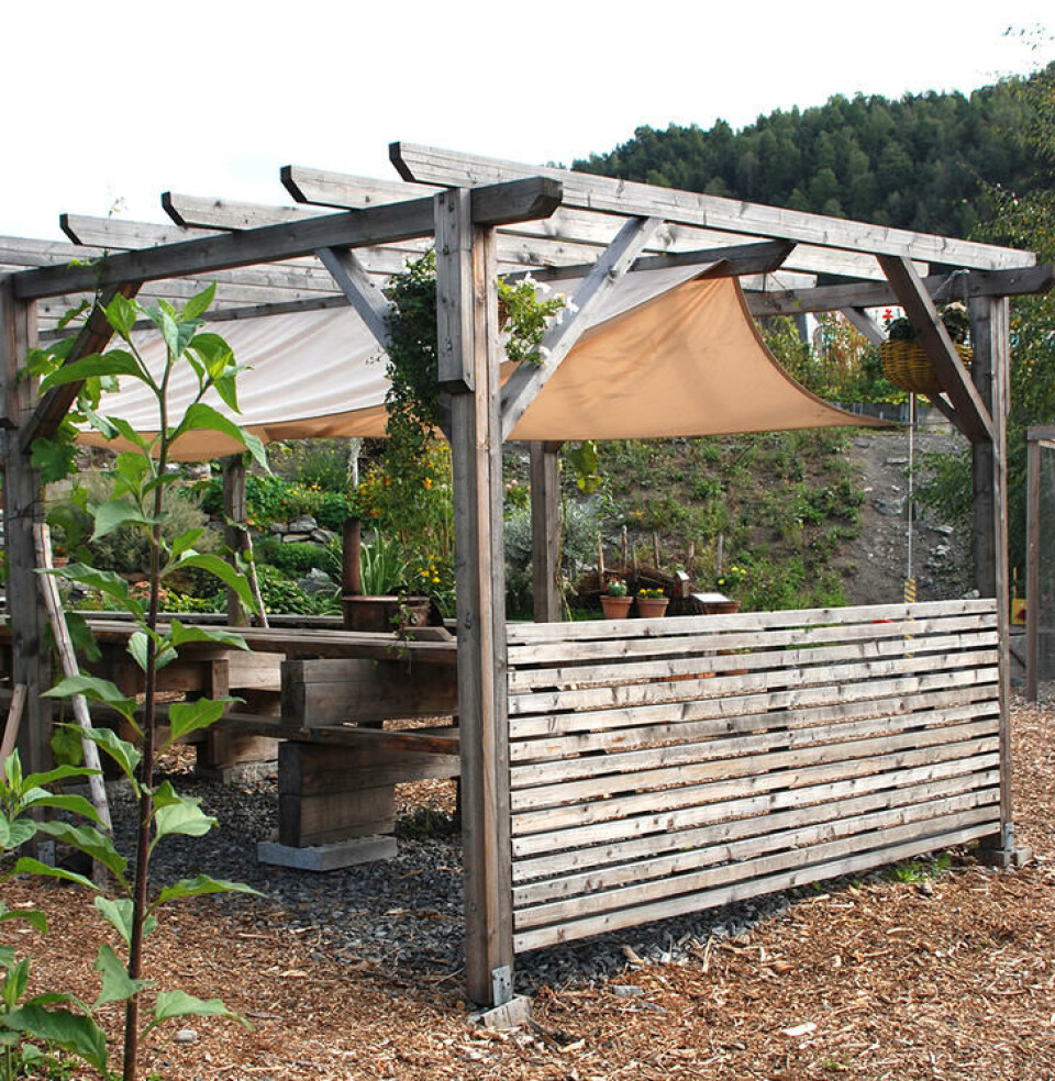 En pergola skaper en lun, skjermet og hyggelig sitteplass. En hyggelig pergola bygget i tre med solsegl.