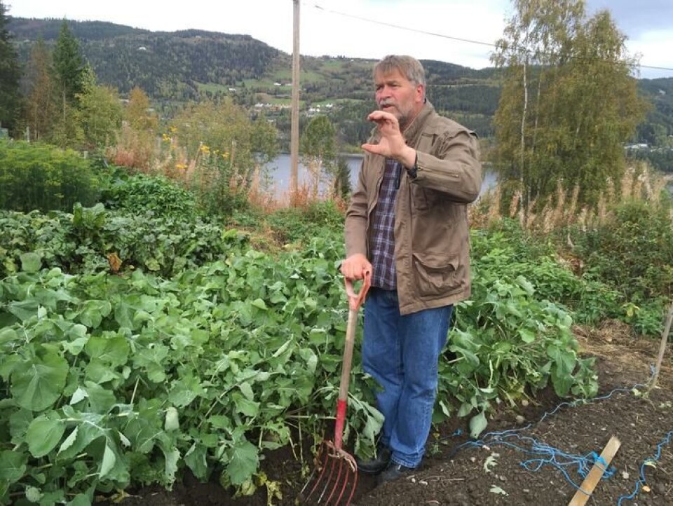 Anders Nordrum, gartner og medforfatter av boken Beredskapshagen. Foto: Datsja.no Anders Nordrum, gartner og forfatter av boken Beredskapshagen