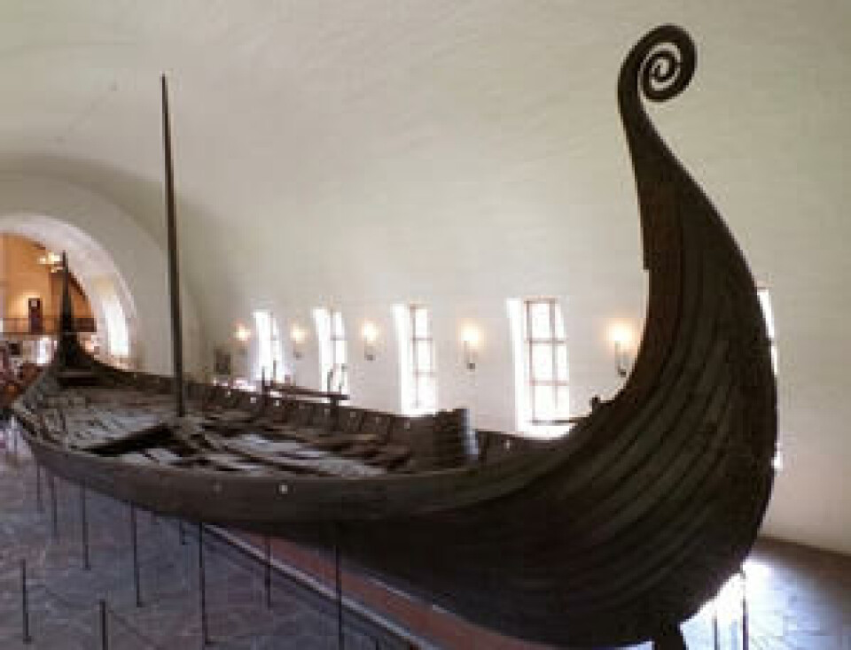 Fotograf: Shutterstock. Osebergskipet avbildet i vikingmuseet på Bygdøy.