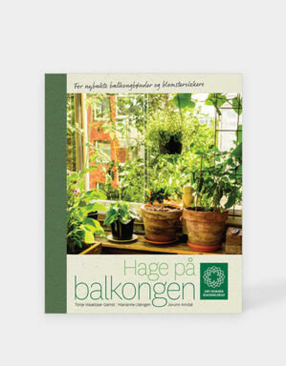 En balkong er en stor ressurs og det øker verdien på boligen betraktelig, så det er all grunn til å prøve ut de mulighetene et lite privat utendørsareal kan tilby. Vel er sommer- og utesesongen kortere hos oss enn mange andre steder i landet, men i Hage på balkongen finner du råd og inspirasjon som hjelper deg å skape deg den lille balkongverdenen du måtte drømme om hele året igjennom. Med planlegging, inspirasjon og kløkt er det nesten utrolig hva selv en liten balkong kan romme. Hage på balkongen