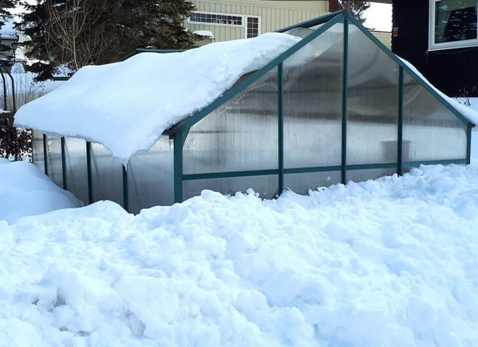 Når væromslag plutselig gjør snøen våt og tung, kan plater knekke. Fotograf: Marianne Utengen. Et kanaldrivhys nedsnødd. En plate har falt ut.