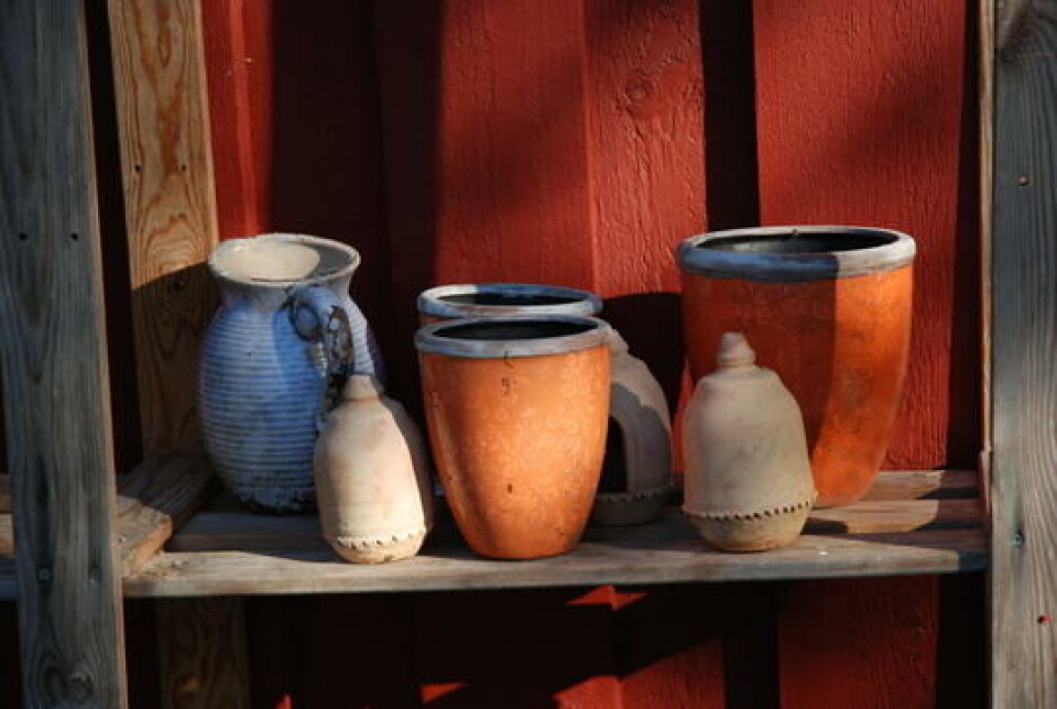 Slik planter du i potter