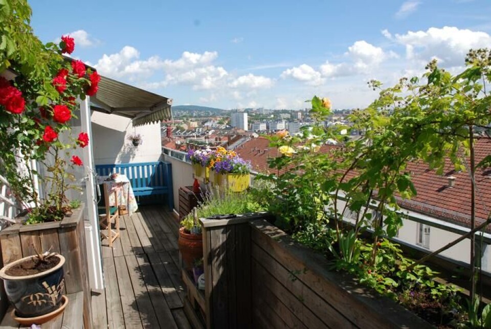 balkonghagen balkonghagen