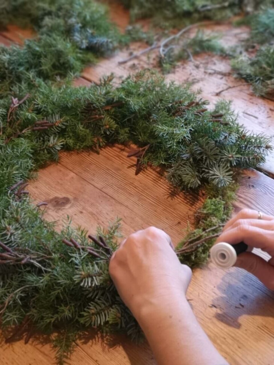 Stram vikletråden godt for hver runde rundt basen. Fotograf: Marthine Søyland Hoel. Lage julekrans