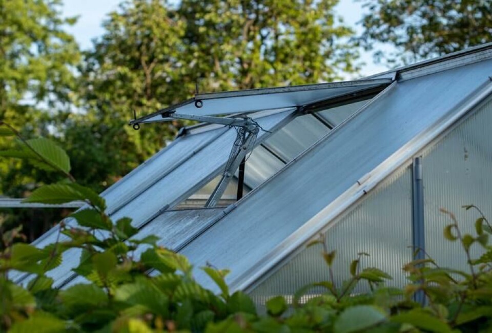 Automatiske lukeåpnere åpnes og lukkes av seg selv i løpet av døgnet. Fotograf: Shutterstock. Nærbilde av en lufteluke i et veksthus.