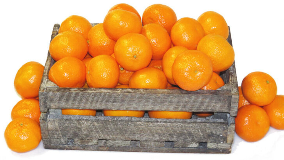 Du oransje, saftige frukt, god dag! kasse med klementiner
