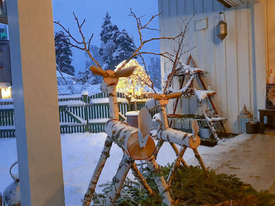 Reinsdyr på trammen Reinsdyr på trappa