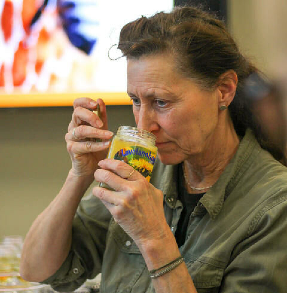 Ragna Ribe Jørgensen. Fotograf: Frøydis Gammelsæter. Ragna Ribe Jørgensen