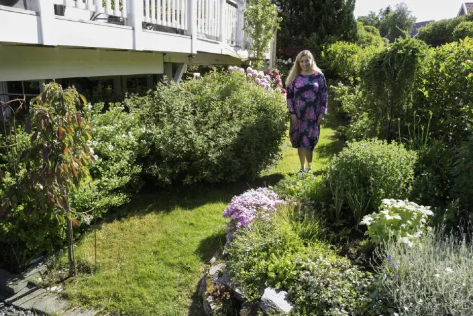 En grønn sti snor seg gjennom hagen som Ann Kristin Selli har hjemme. Hun har brukt 20 år på å få det så frodig. Hjemmehagen