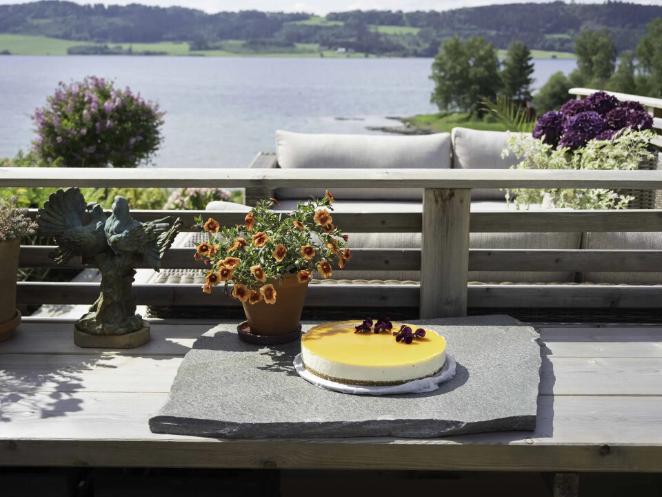 Ostekake med fioler stråler på benken i utekjøkkenet. En pizzaovn står høyt på ønskelisten. Ingen kan klage på utsikten.. Fotograf: Kari Kløvstad. Ostekake med fioler stråler på benken i utekjøkkenet.