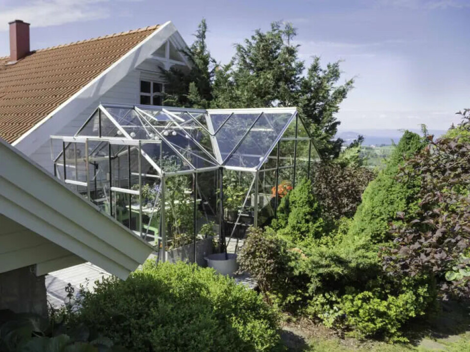 Drivhuset har fått plass i vinkelen mellom huset og garasjen, og her vokser blant annet tomater og paprika. Det er også plass til å slappe på den grønne benken.. Fotograf: Kari Kløvstad. Drivhus
