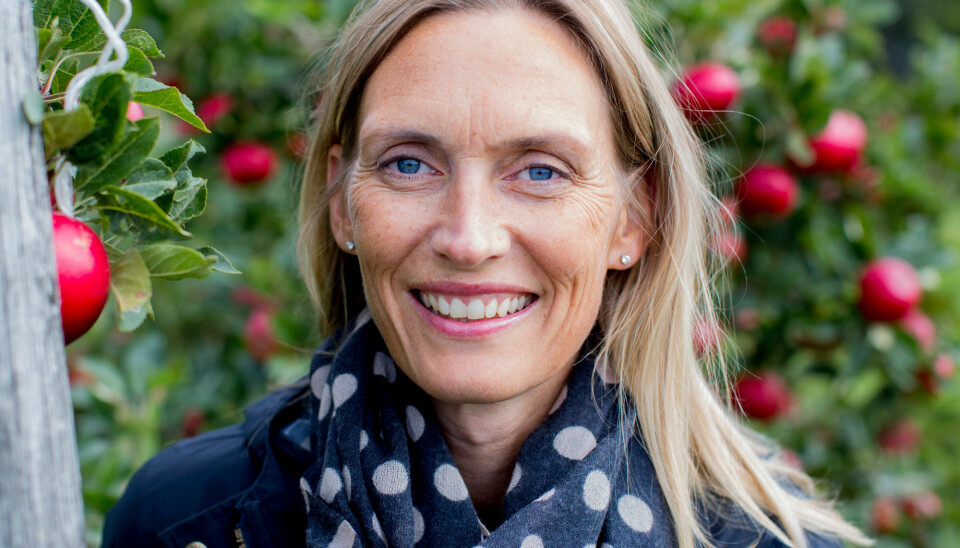 Siv Fagertun Remberg