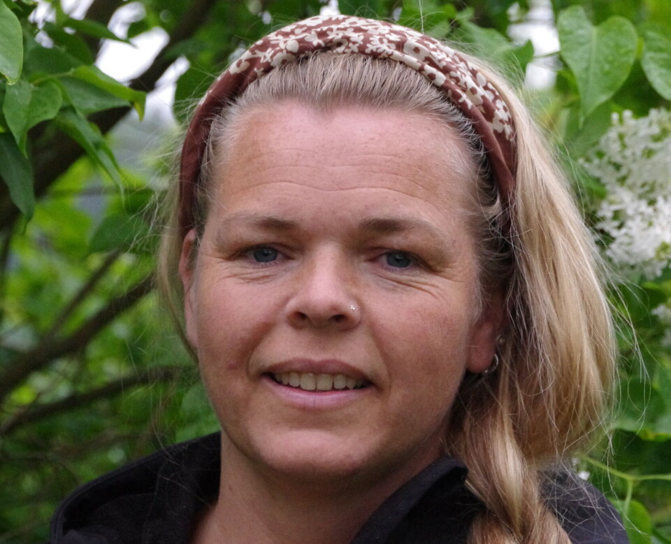 Anne Killingbergtrø