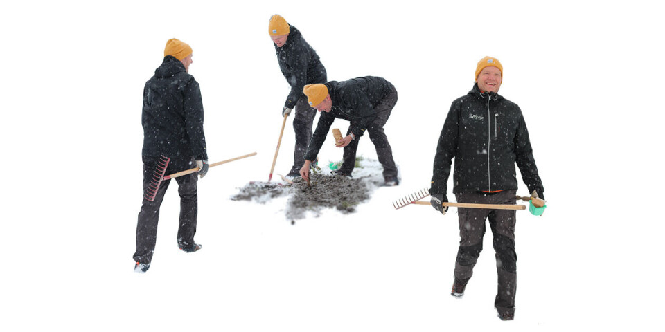 Vintersåing