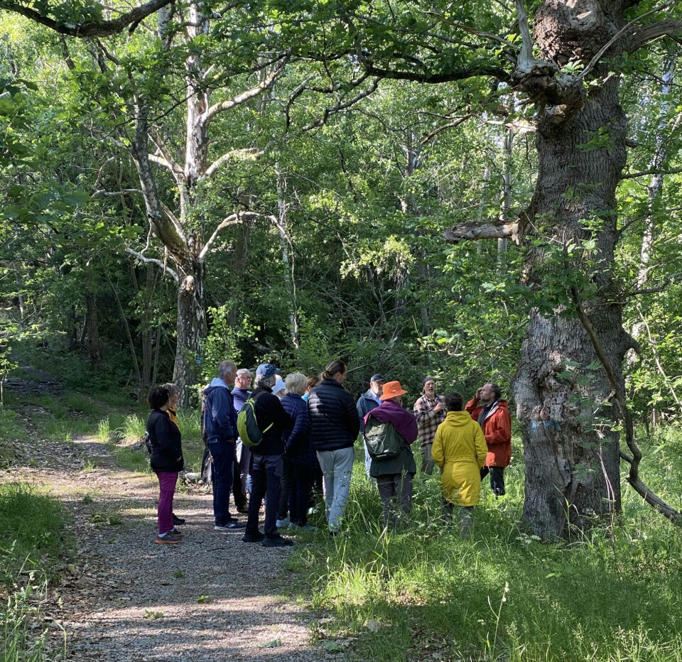 I samarbeid med Kråkerøy Jeger- og Fiskeforening og Permakultur nedre Glomma har Hvaler hagelag arrangert vandreforedrag med arborist Kenneth Thomassen på Kjøkøy Fort.