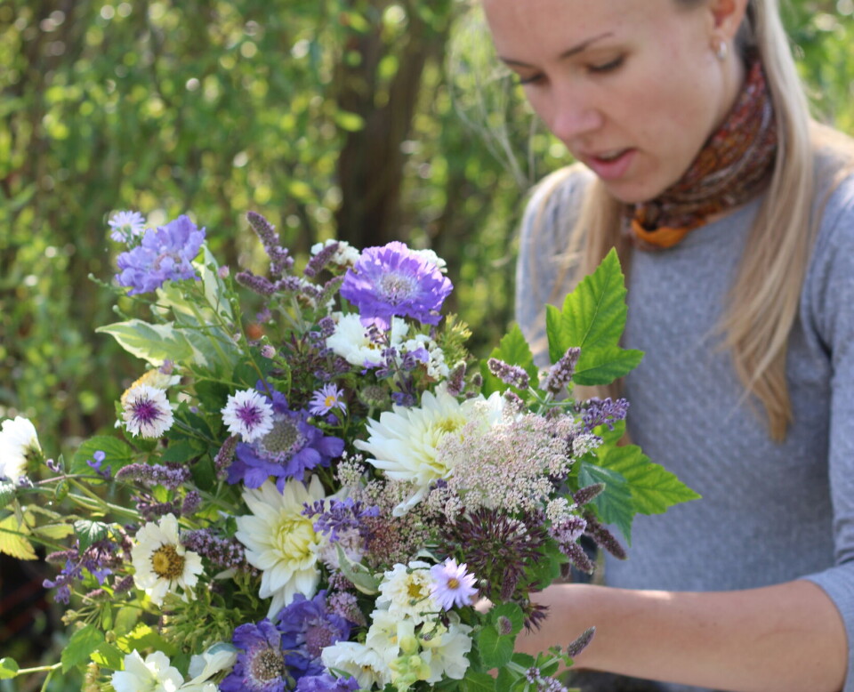 BLOMSTERDEKORATØR
Lisa Karlsen ved Oslo
blomsterverksted setter
sammen blomster som
høstes rett fra åkeren,
til stemningsfulle og
kortreiste kreasjoner.