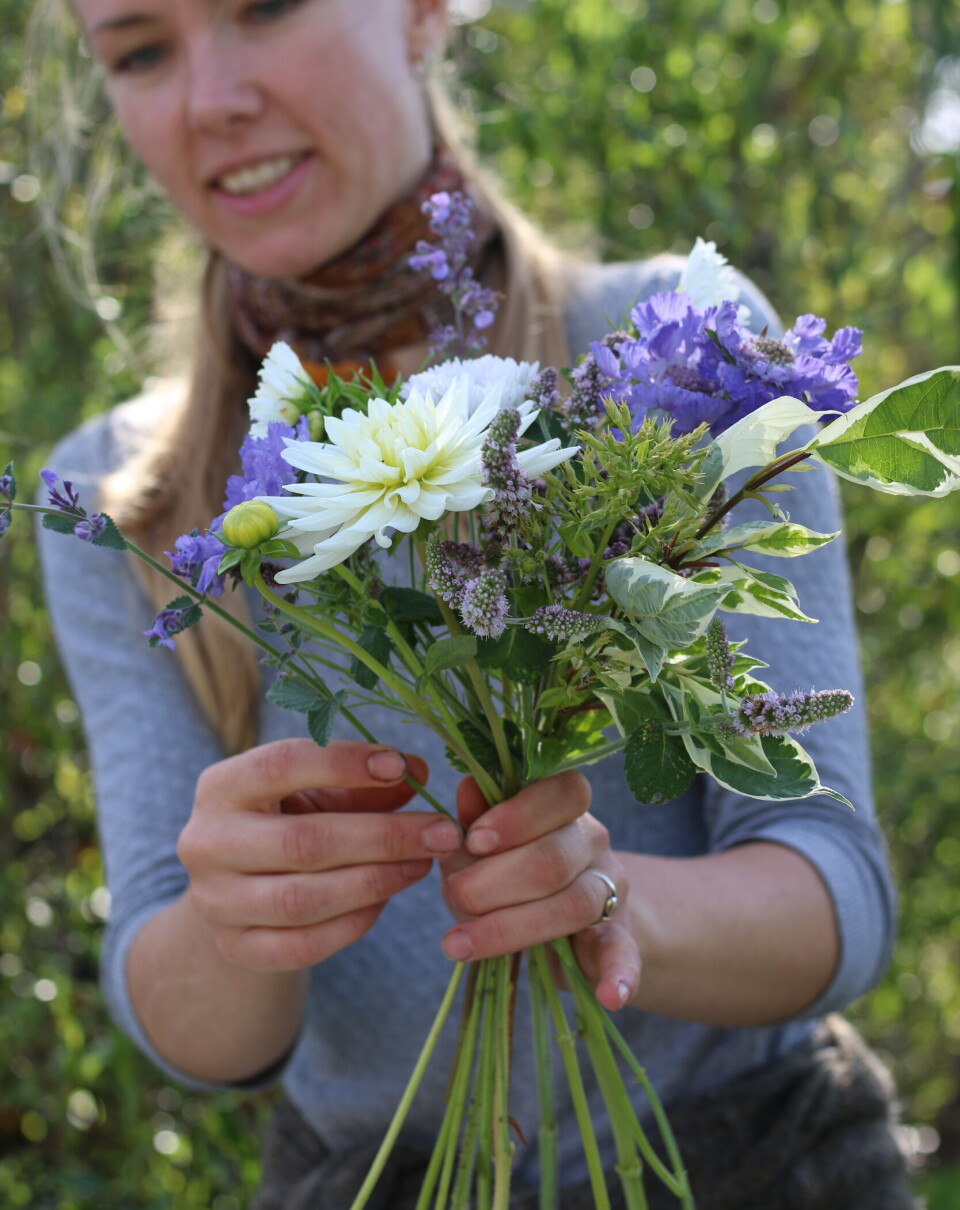 Sommerlykke i en vase