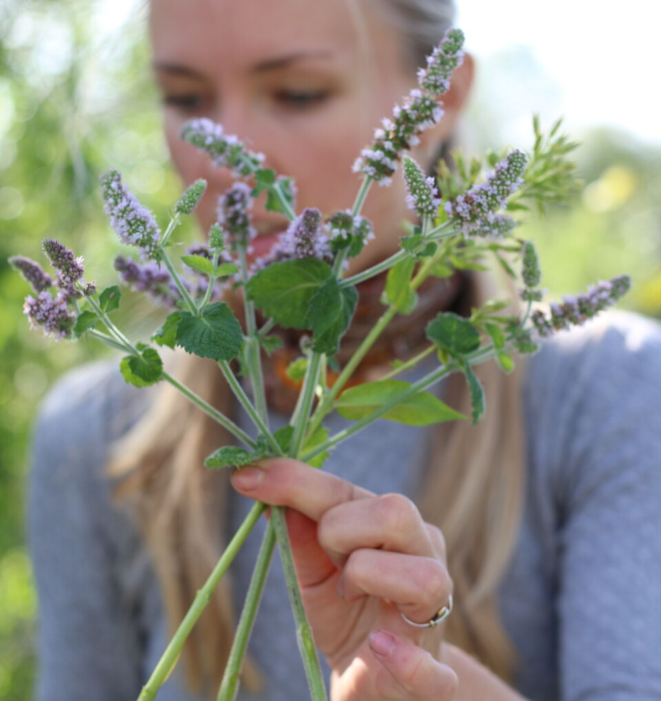 START Tre stilker legges i kryss