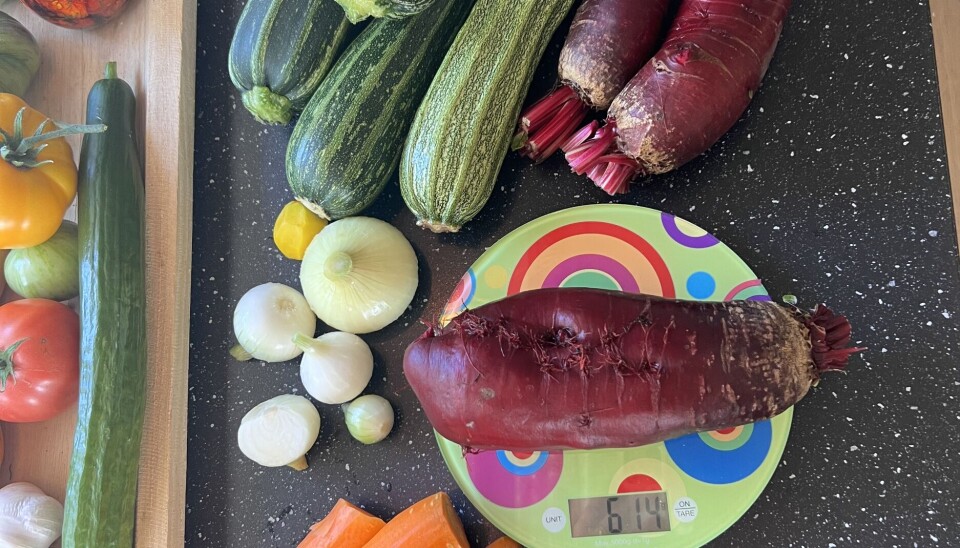 Squashen er en lagspiller