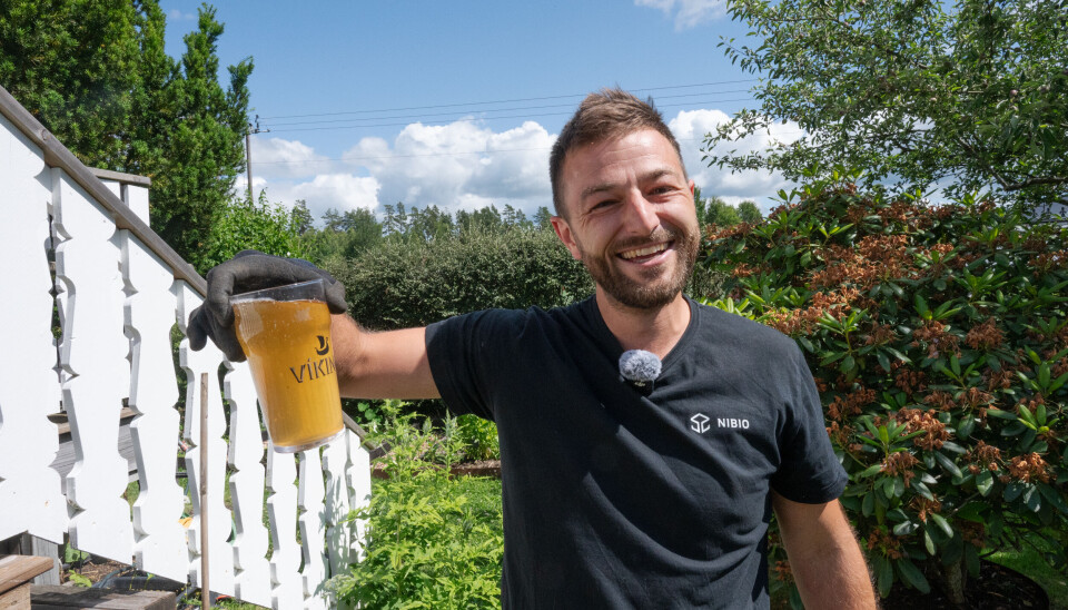 Det kan hjelpe å tisse litt på hageavfallskomposten, tipser forsker Pierre-Adrien Rivier, i NIBIO, her med urin i halvliters-glass. Urin er også veldig nyttig å gjødsle plantene med, da tynnet ut med vann – bruk en halvliter i en 10 liters vannkanne. Det holder å gjøre dette mellom 2-6 ganger per sesong, avhengig av næringsbehovet til plantene. Stopp gjødsling med urin 2-3 uker før høsting.