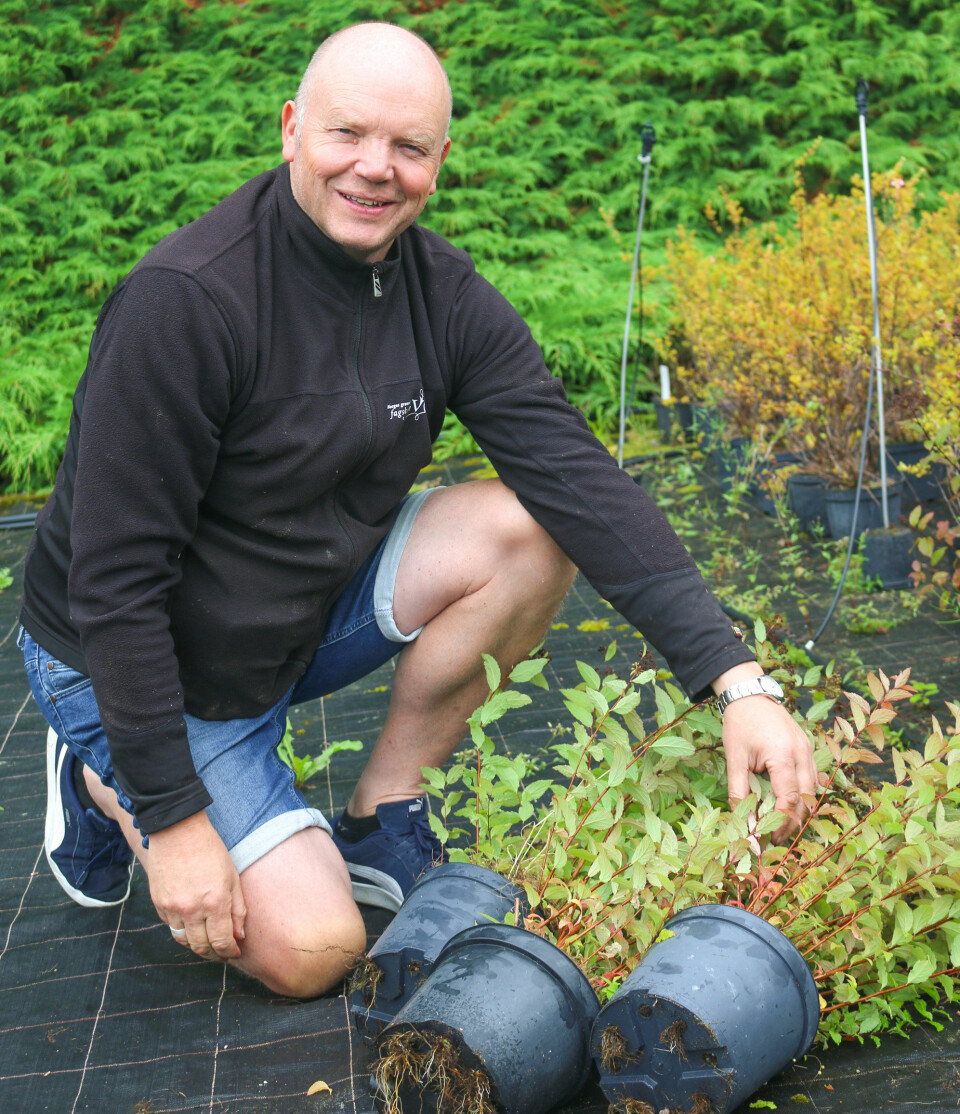 Per Spangen viser hvordan plantene beskyttes gjennom vinteren ved å velte potta